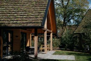 Bos Villa met Hottub & Sauna | 8 personen