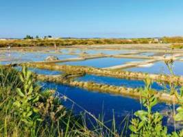 Flower Camping Les Paludiers
