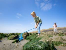 Landal West Terschelling