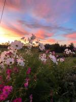Campingplatz in Calonges auf dem Land in der Nähe des Seitenkana
