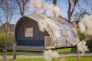 Big Oak Tent | 6 personen