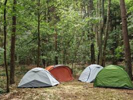 Wunderschöner Ort mitten im Wald, Opoeteren, Gemeinde Oudsbergen