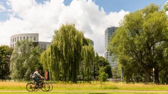 The Social Hub Eindhoven