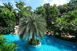 HULA HULA RESORT l truly tropical and fun wellness