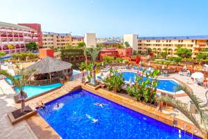 Fly & Go Best Jacaranda