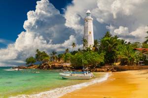 Rondreis Beste van Sri Lanka