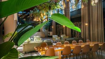 Hotel Wander