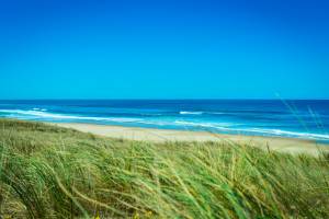 Résidence Bleu Canopée 3p8p