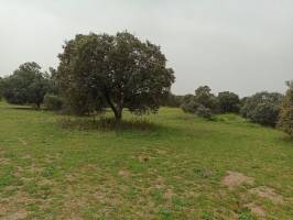 Campingplatz in Menasalbas, Kastilien-La Mancha