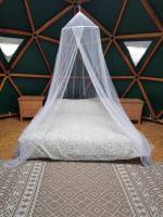 Frieden und Raum in unserem Nahrungswald und (Pferde-)Paradies