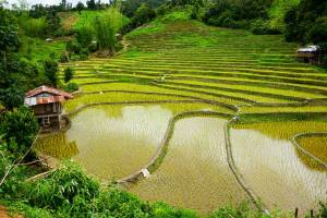 21-daagse rondreis met chauffeur Noord-Thailand via Pai