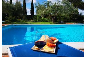 Sunflower apt with shared pool family fun