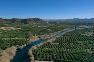 Fietsvakantie Valencia Rijst en Rivier (groepsreis)