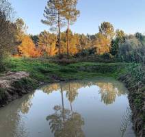 Willkommen im Zentrum der Welt