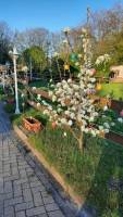 Campspace in Rastede