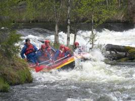 Belevenisweek in Fins Lapland