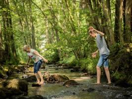 Landal Nature Parc Saint Hubert