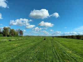 Campingplatz in Tull en 't Waal, Utrecht