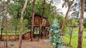 Baumhaus in Portugal