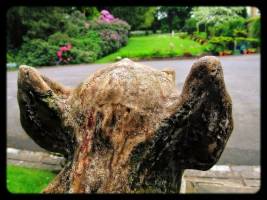 Hedgefield House Hotel