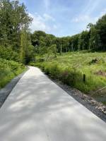 Terrain en pleine nature dans la forêt - Arlon