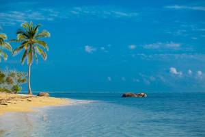 18-daagse Hot Deal Sri Lanka Highlights & Beach (Oost)