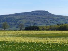 Domaine des Vans