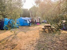 Kleine Familienlandwirtschaft in der ligurischen Landschaft mit 