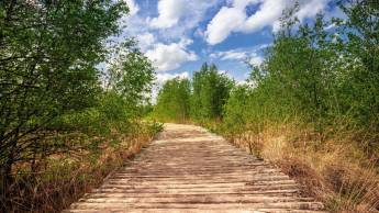 Hotel Asteria Venray