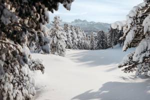 Egger Apartments & Suites