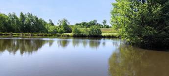 Campingplatz in Chimay l'escaillere, Hennegau