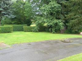 Unter Bäumen auf einer schönen Wiese. Leicht schräg abfallend, K