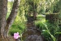 Camping Sensweiler Mühle-Naturlich Camping