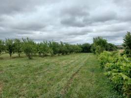 Campingplatz in RIEUX VOLVESTRE, Okzitanien