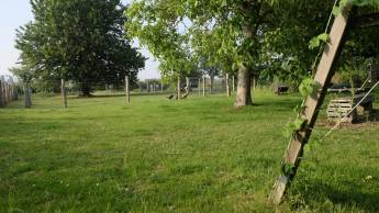 Das Tor nach Belgien