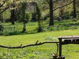 Naturerleben am Niederrhein, Xanten