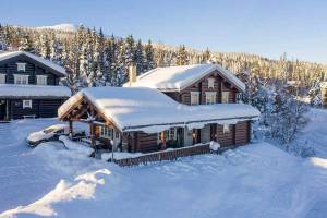 Scandinavian Mountains, Trysil privé chalets