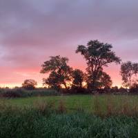 Campspace in Berne, Niedersachsen