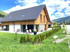 Mountain Chalet Esttes