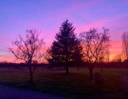 Unter den Schafen ???? Les Sorinières