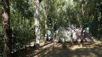 Campingplatz in PAESTUM, Salerno