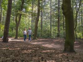 Vakantiepark Ackersate