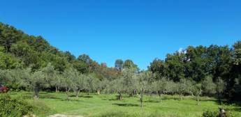 Agricampeggio Borgo Agna