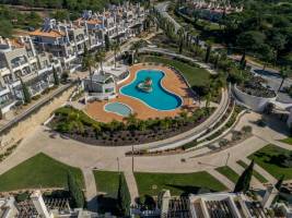 Pine Hills Safira
