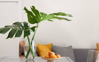 Lungarno Suite Apartment