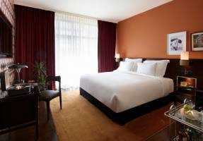 Brown Acropol Athens
