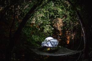 Ungewöhnliche Nacht in einer Blase in den Bäumen der Provence – 