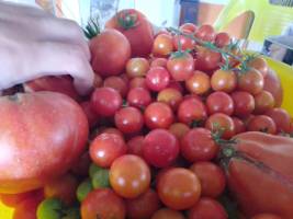 Camping in Lisbons famous Wine Region