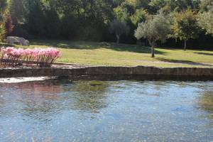 Ein Naturparadies in der Nähe von Porto