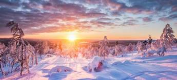 4 dg excursiereis Shortbreak Lapland Hotel Saaga